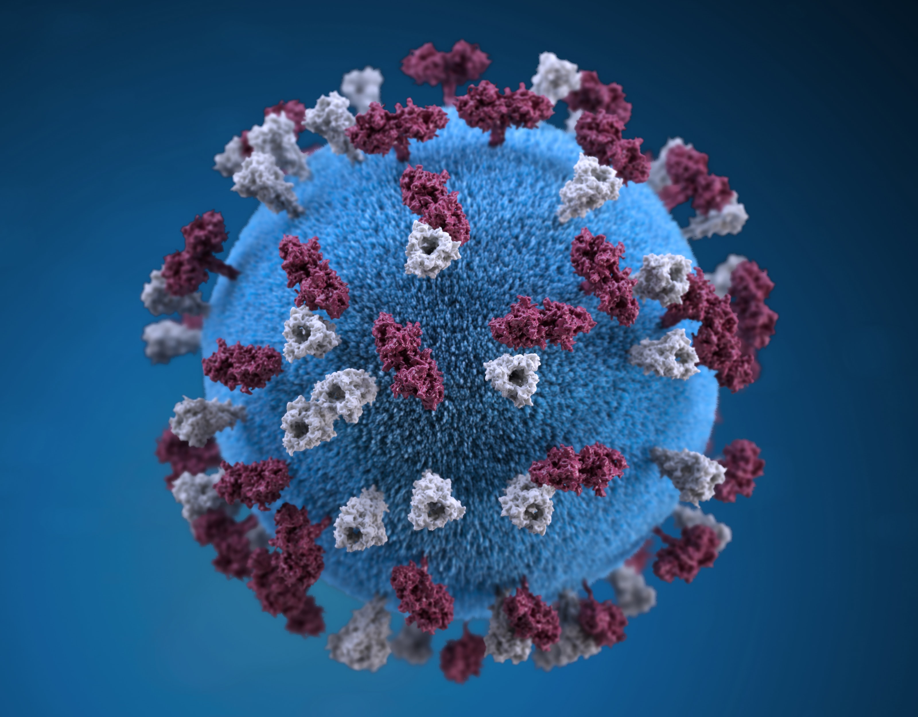 recomendaciones coronavirus